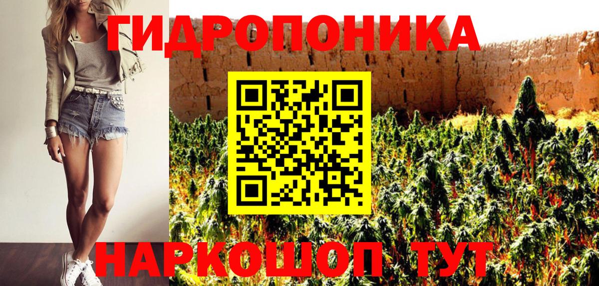 Бошки Шишки Amnesia Владивосток